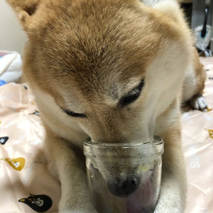 2150d49b ebb7 426d bbe9 eac1f1d9d8a1 1565694864878