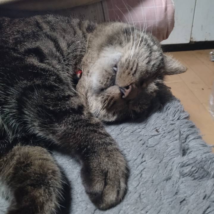 2150d4bb 1a8c 466e a930 fe5bee18467f 1670803535314