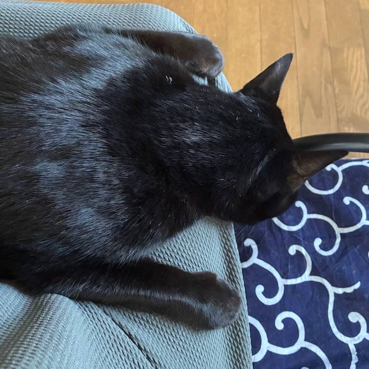 21514778 9594 4729 863c 6535867a4c88 1763945101906