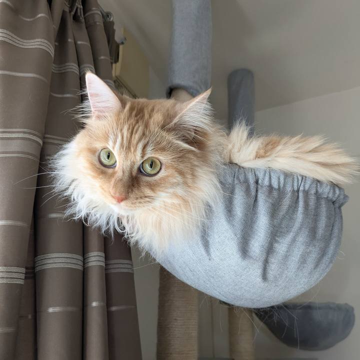 2151702a 7ca6 4d69 942c 5ba237913e7a 1746595911667