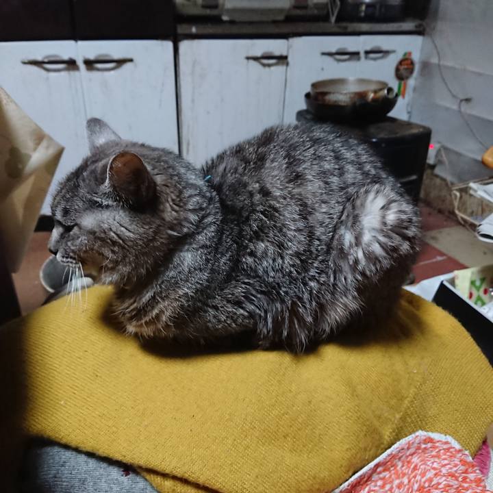 21518bff 6cdc 455c a779 981b313d027c 1573376608918