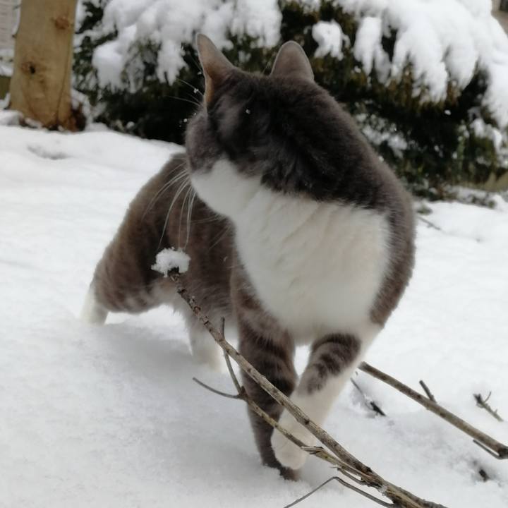 21518f5b f905 4133 af61 36749075eb1c 1770554560365