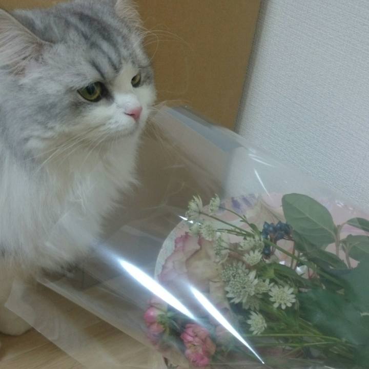 21519935 fc89 41ee 93b5 078b5d951e67 1514108696387