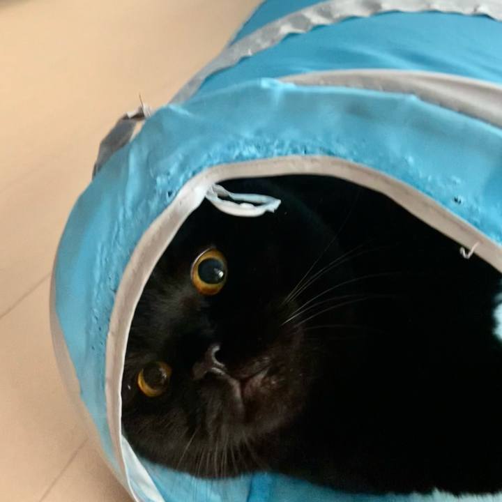 21519c79 09de 4e40 8790 259084e699be 1692085412466