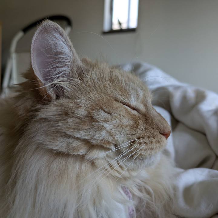 2151b520 bf9c 4ac3 977a 3f54a7932f23 1749261636016