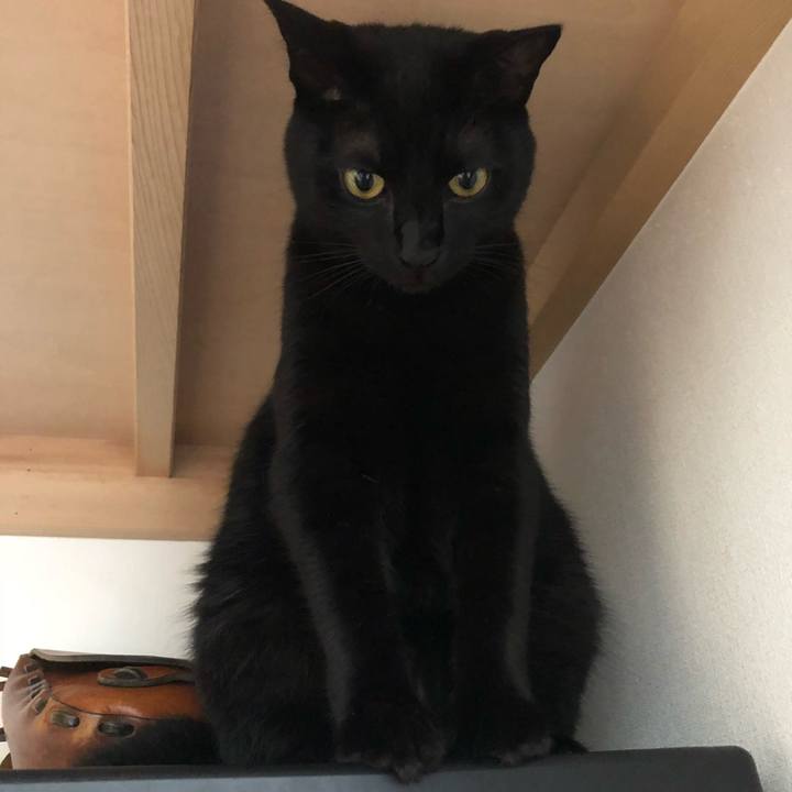 2151bdc0 221e 4f41 831b 71e06a4f6d72 1533948053736