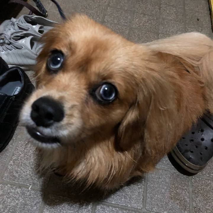 2151d3de b189 4fa8 84d0 c7f3540b5ed4 1528319680028