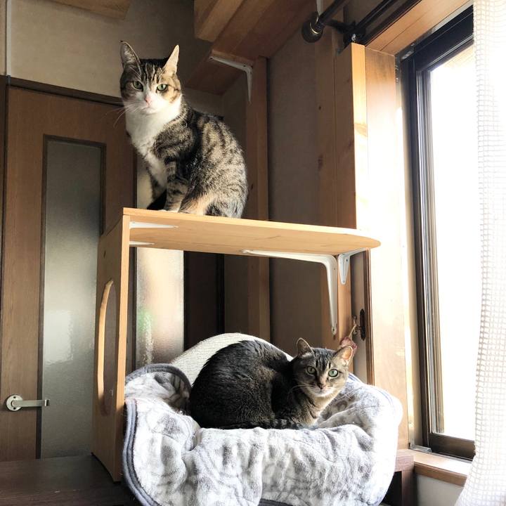 2151fc14 80ba 4714 9302 bdfa26804f31 1648764837638