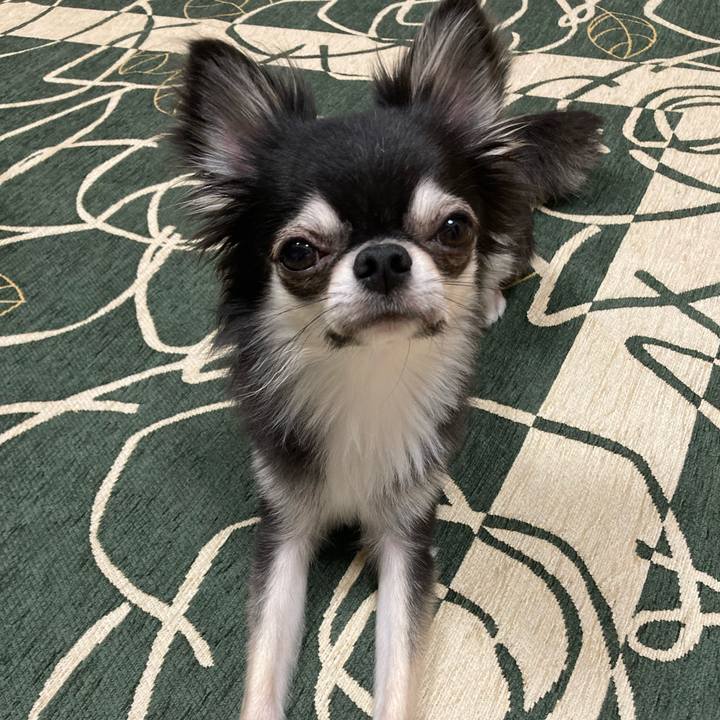 21521726 81b6 42a3 bdf6 1975157f96ab 1632577443990