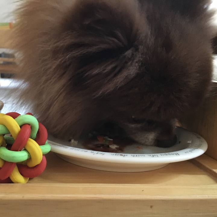 21522b72 c14f 4fa0 ae1a eaf56980af33 1522997544529