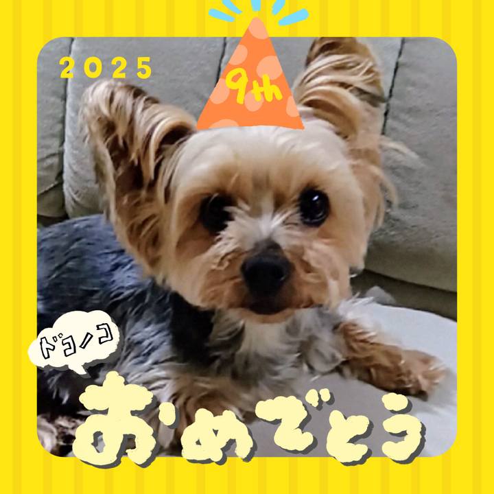 21524df9 7446 44d3 8cca ad737cb9bccb 1749131950441