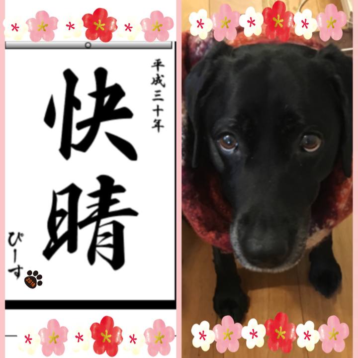 215266d7 576d 49d7 965b 2bab90ef2893 1515285800324