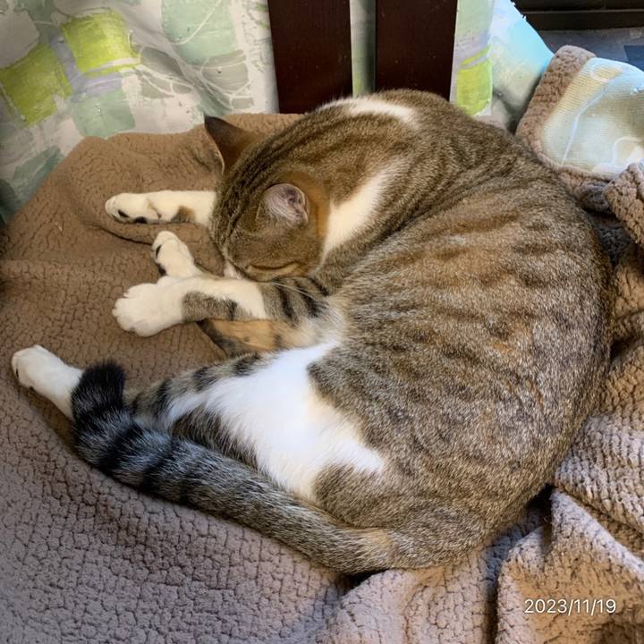 2152cb92 ccc7 4dda be8a 2607ef22a511 1700359018856