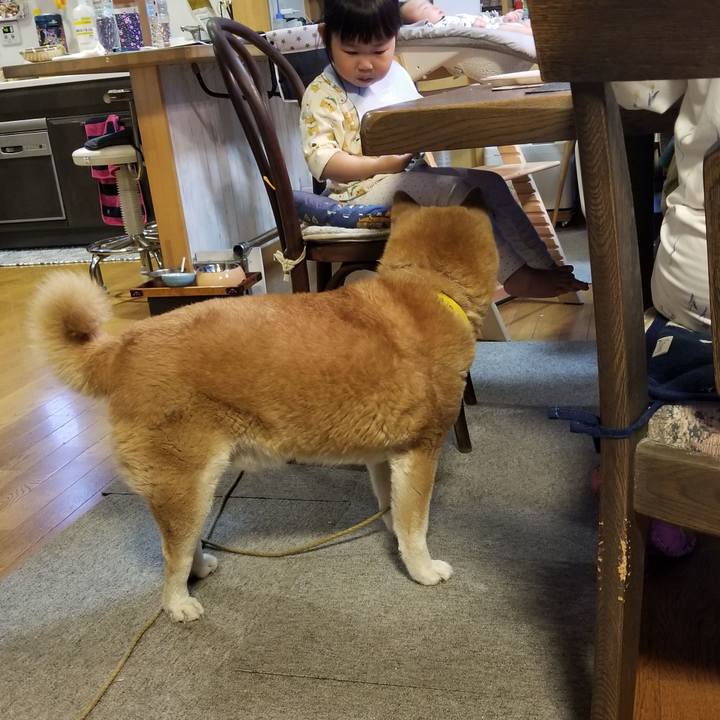 2152d7d3 a96c 4b12 adaa df938c8d666b 1682760161236