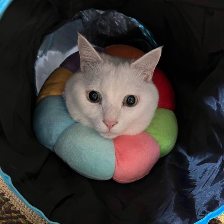 2152fd2f 67ca 4396 9ec2 7e68579df260 1671717332241