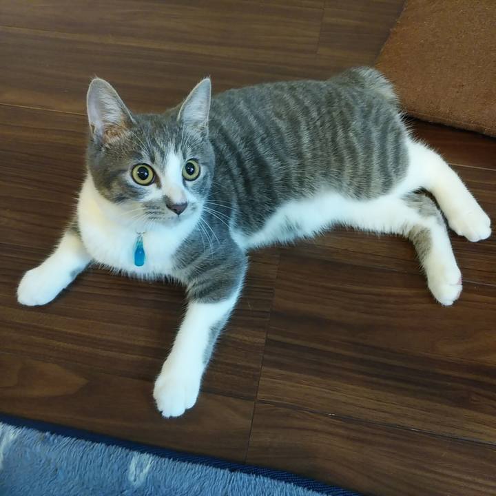 21535243 f34f 4bb6 a2b3 bf5d08b9536f 1570152231911