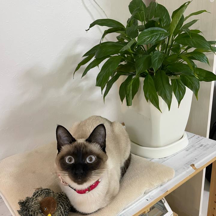 2153599e 9251 49bb 9b30 c99b388e15a3 1711914017147