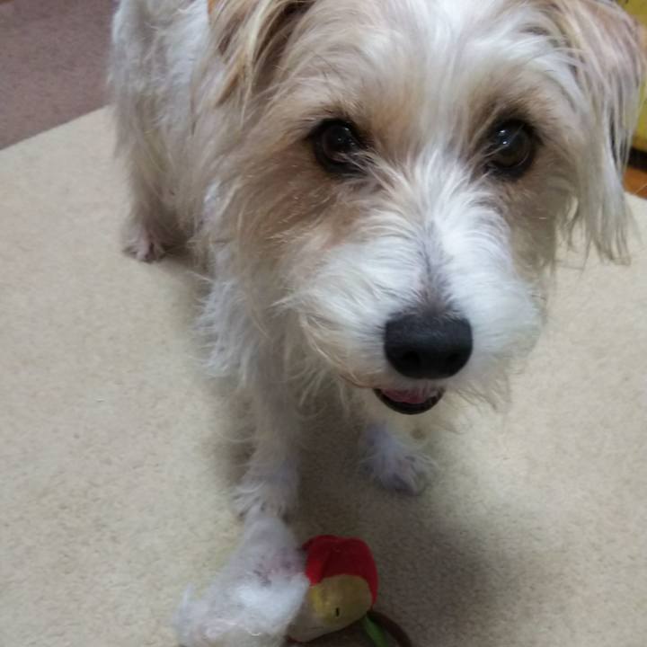 215379cc 9766 4a9c b30c 08d74dade982 1525355978745