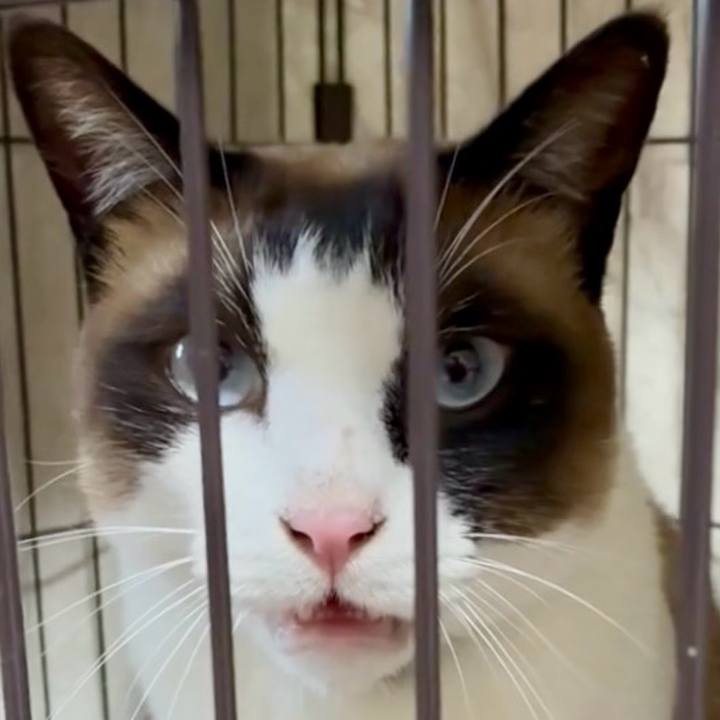 215385df 583e 4577 9d62 cf675b0afd76 1751104147669