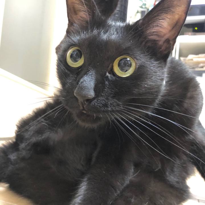 215392ed 0975 4977 bdce 08bbb20324e6 1601124179744