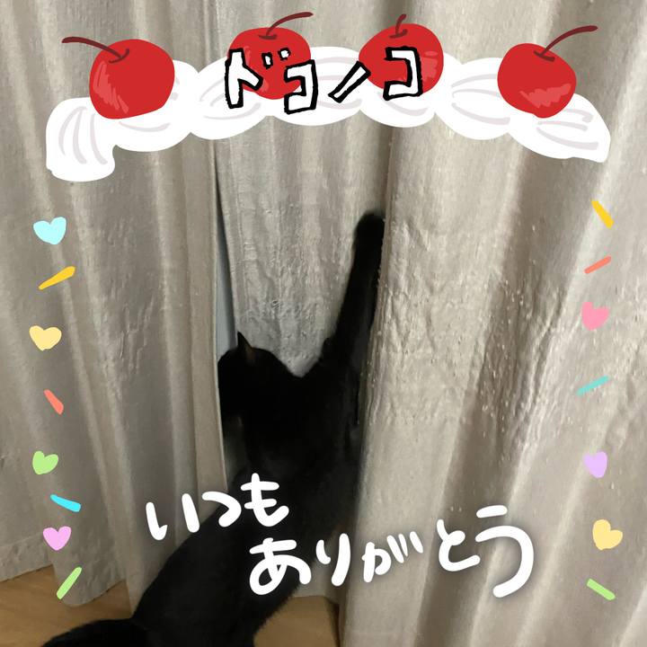 2153c0c9 5a2b 4a25 8a17 4b949efc4bdc 1685937625236