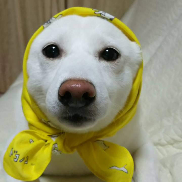 2153c379 cecf 4e62 8e91 63ff21e6850a 1566910787920