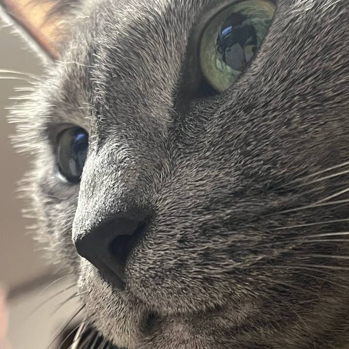 2153d186 3a35 4573 a676 5187dc872b47 1723895160675