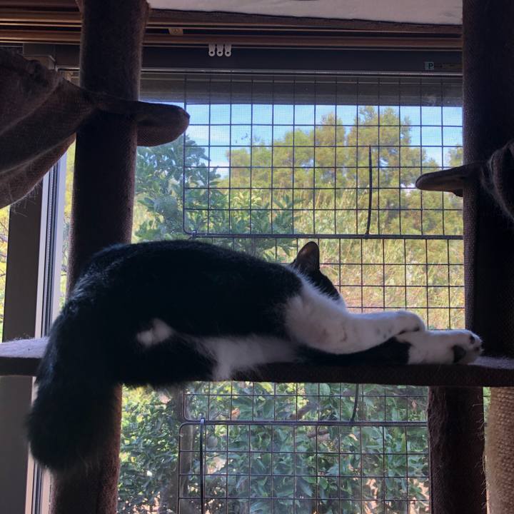 215402a4 0951 446a bc98 577e4ad97f63 1569893067483