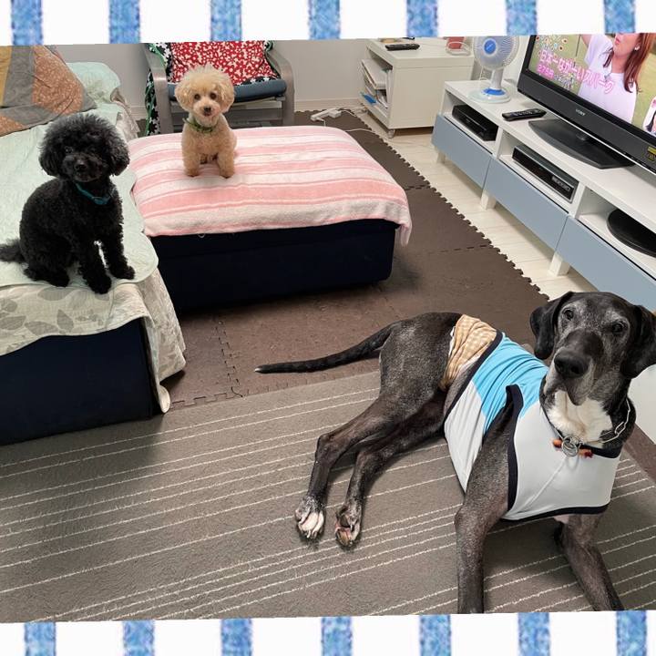 21540cf1 16e8 4355 8e79 201edcb7232e 1629413832856