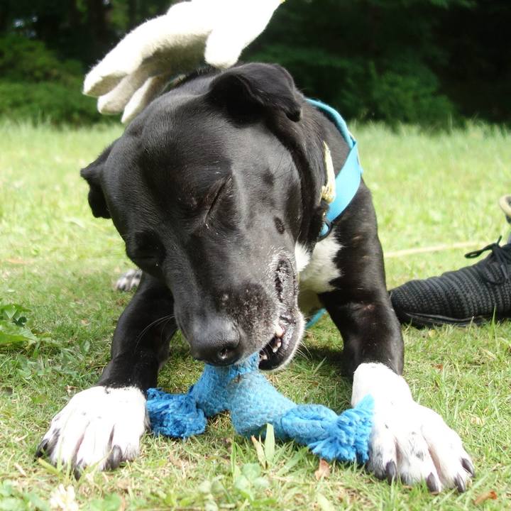 2154548b aa90 474c b1eb 25ae7d817754 1621813969533