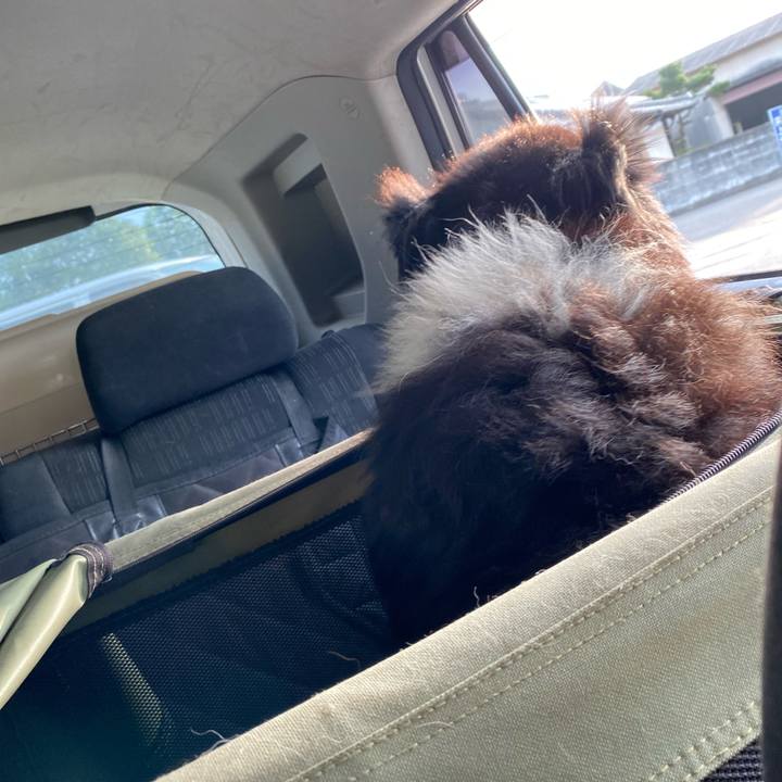 21546b9b 06bb 4643 8fa9 4416e2031593 1695160751712