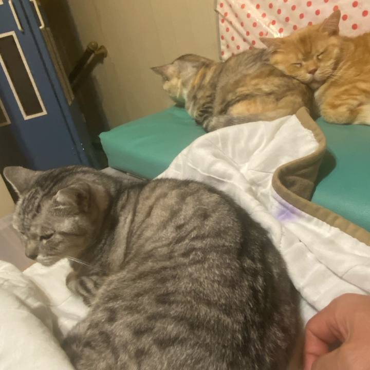 21546f62 e3d0 42e9 9a52 d5e41c65e06c 1636940927991