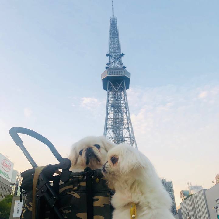 21548fb9 2744 45c6 be9e a4762a8e04e1 1602020395568