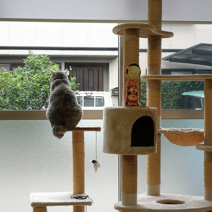 2154acc5 cc86 491a a021 feb1e04822fc 1594264605587