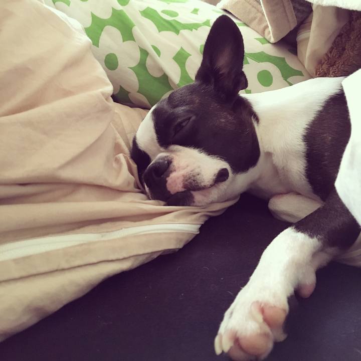 2154ad65 97e0 44e0 a552 1dcbb3bc0f37 1516415688106