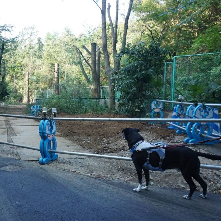 2154aed0 abd8 4767 a7bc 2555fbaf0fb7 1755733080592