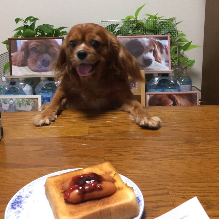 2154d698 238e 45e6 bc04 202ad9ba419e 1594332411422