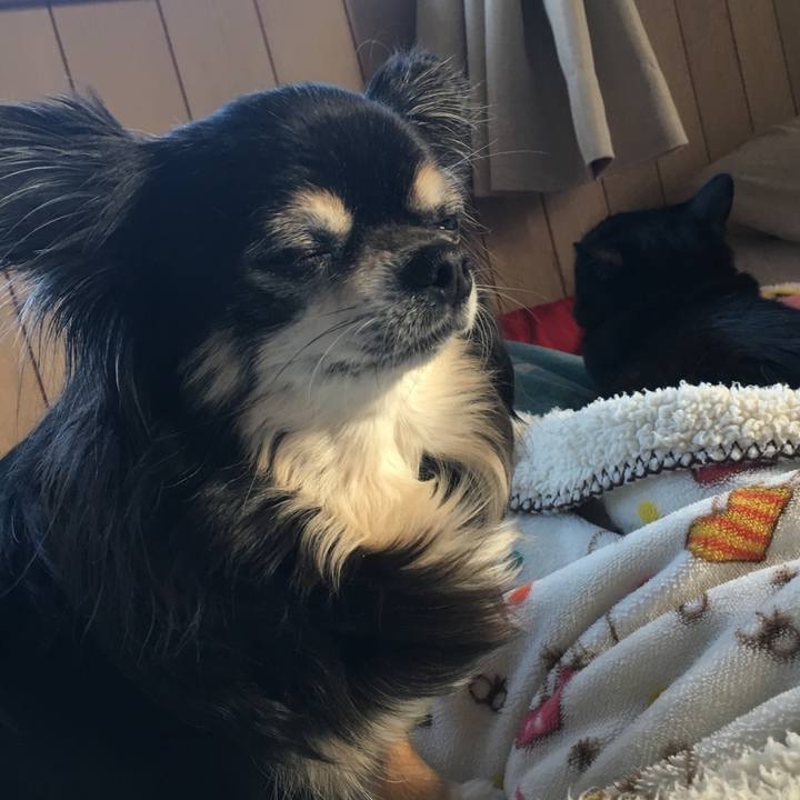 2154edd6 6b89 47fb 8bf0 9171b28902e4 1548573320884