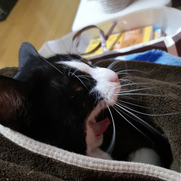 2154fe56 ed9e 4066 a970 335e38caff3a 1640145922508