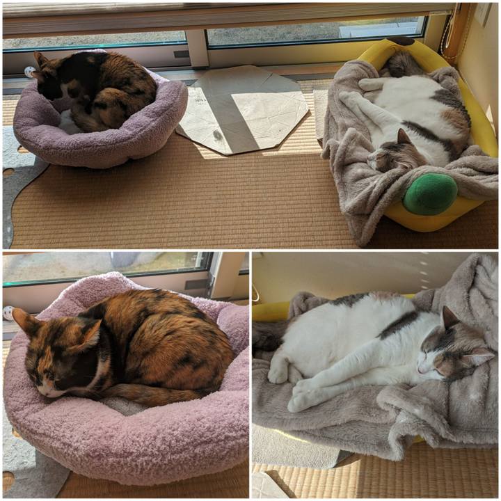 2155120f da9d 4d1d 89ea ce27b24a07d1 1710908477443