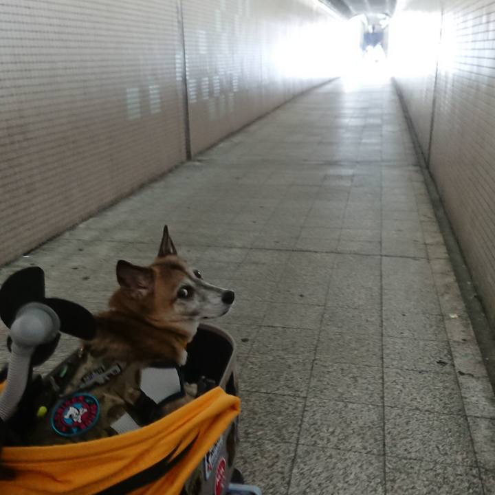 215532fc b4e2 4ef1 bbcb f9ad9a4c833d 1603783648890