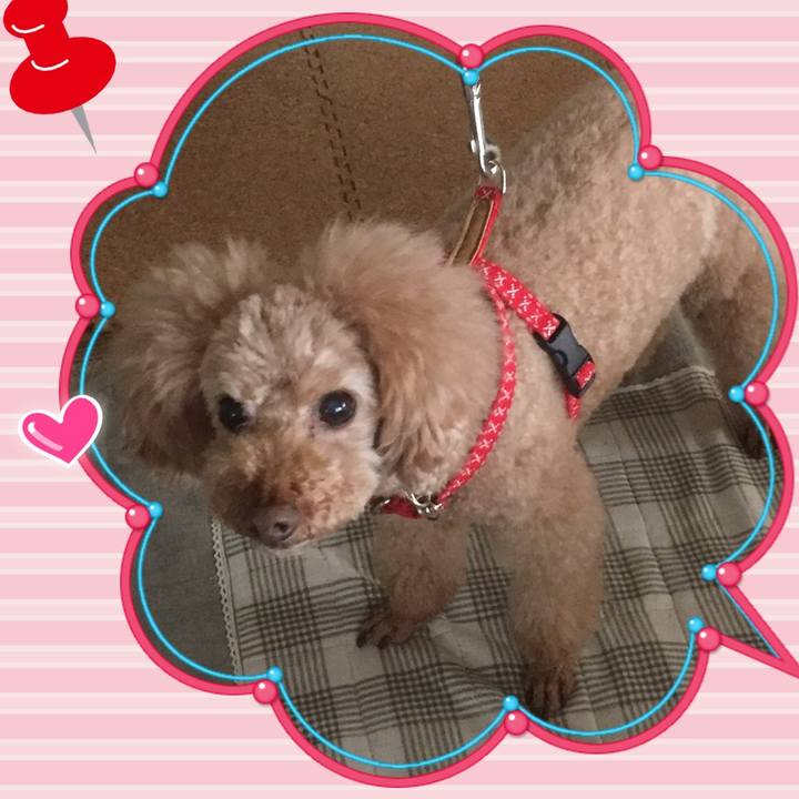 2155837e 5ea7 4d65 9bb1 92ecd3e011b0 1525902655992