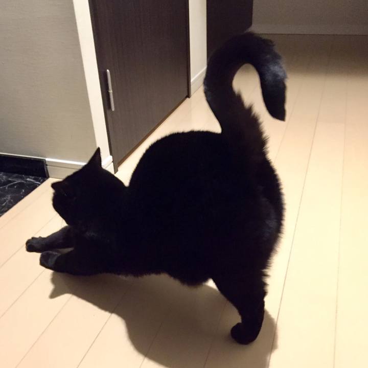 2155d0c9 7584 4ace 9675 2ce872191e55 1582638299954