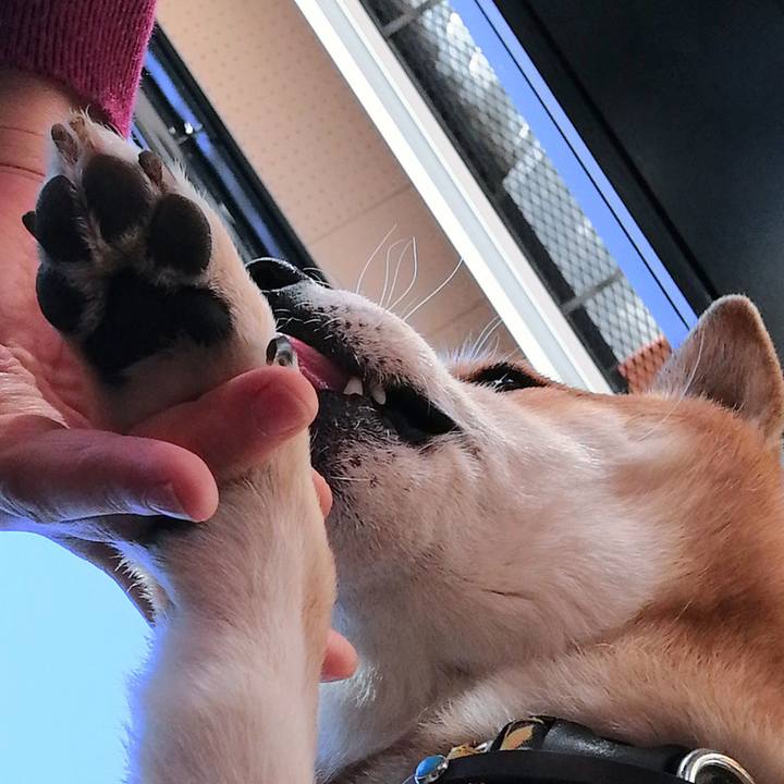 215603a2 3817 4297 8967 14c505a5a6a1 1612847294241