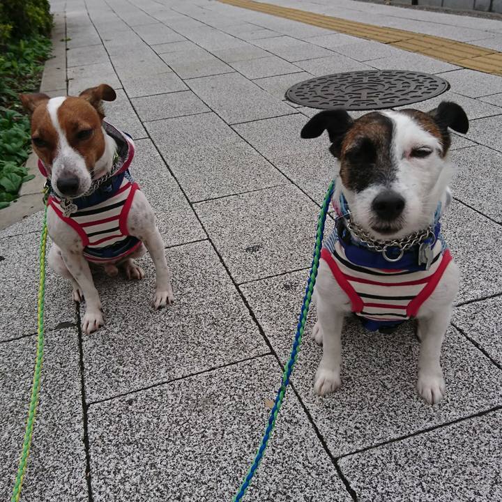 215610ce 0386 4904 90d3 1643f77271b6 1571268990857