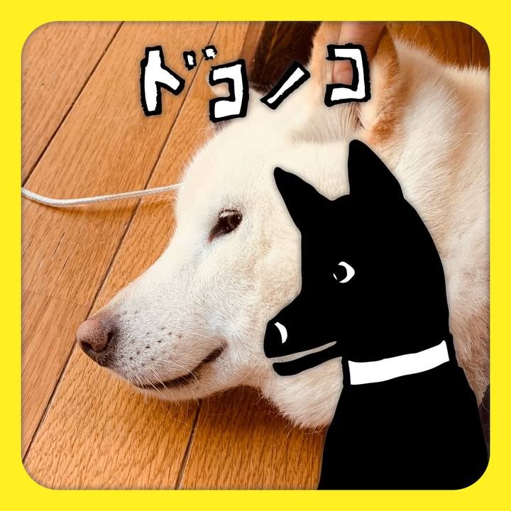 215621a8 da1d 480c a77b c91d69844f36 1623072992573