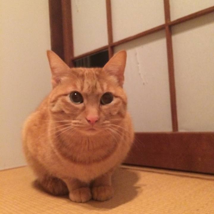 215630dc ac1f 4fab 94c4 11306fa471ee 1517930342113