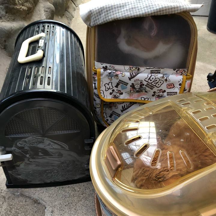 21563b56 ca3e 4a42 ac69 a3f50fe27ce8 1512951119639