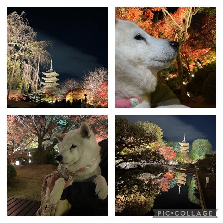 2156408b 1ead 43dc 87a0 818ee2f8dcbf 1701440004824