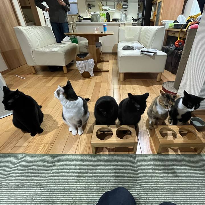 21566031 662f 451b 9727 82e9bb8af60a 1708123633269